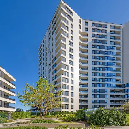 Golden Moon - Portova *