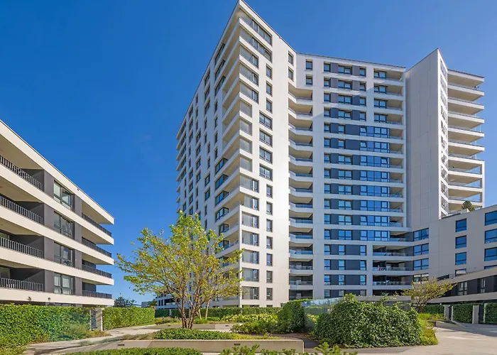 Golden Moon - Portova *